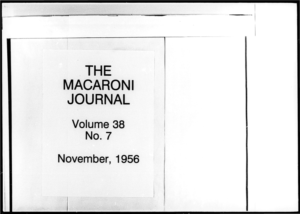 MACARONI JOURNAL III No\'Cm'jcr