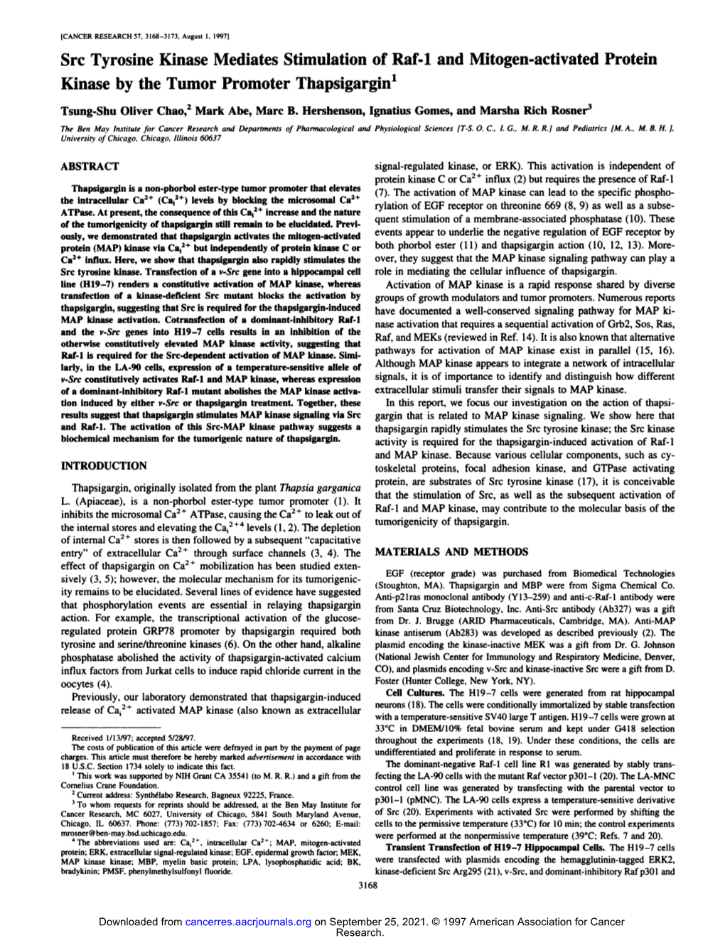 Src Tyrosine Kinase Mediates Stimulation of Raf-1 and Mitogen-Activated Protein Kinase by the Tumor Promoter Thapsigargin'