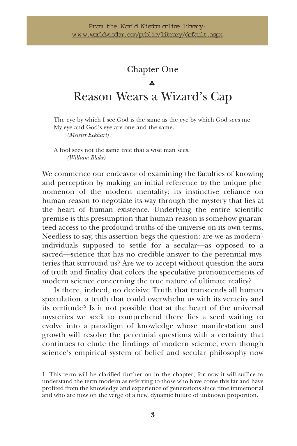 Reason Wears a Wizard's