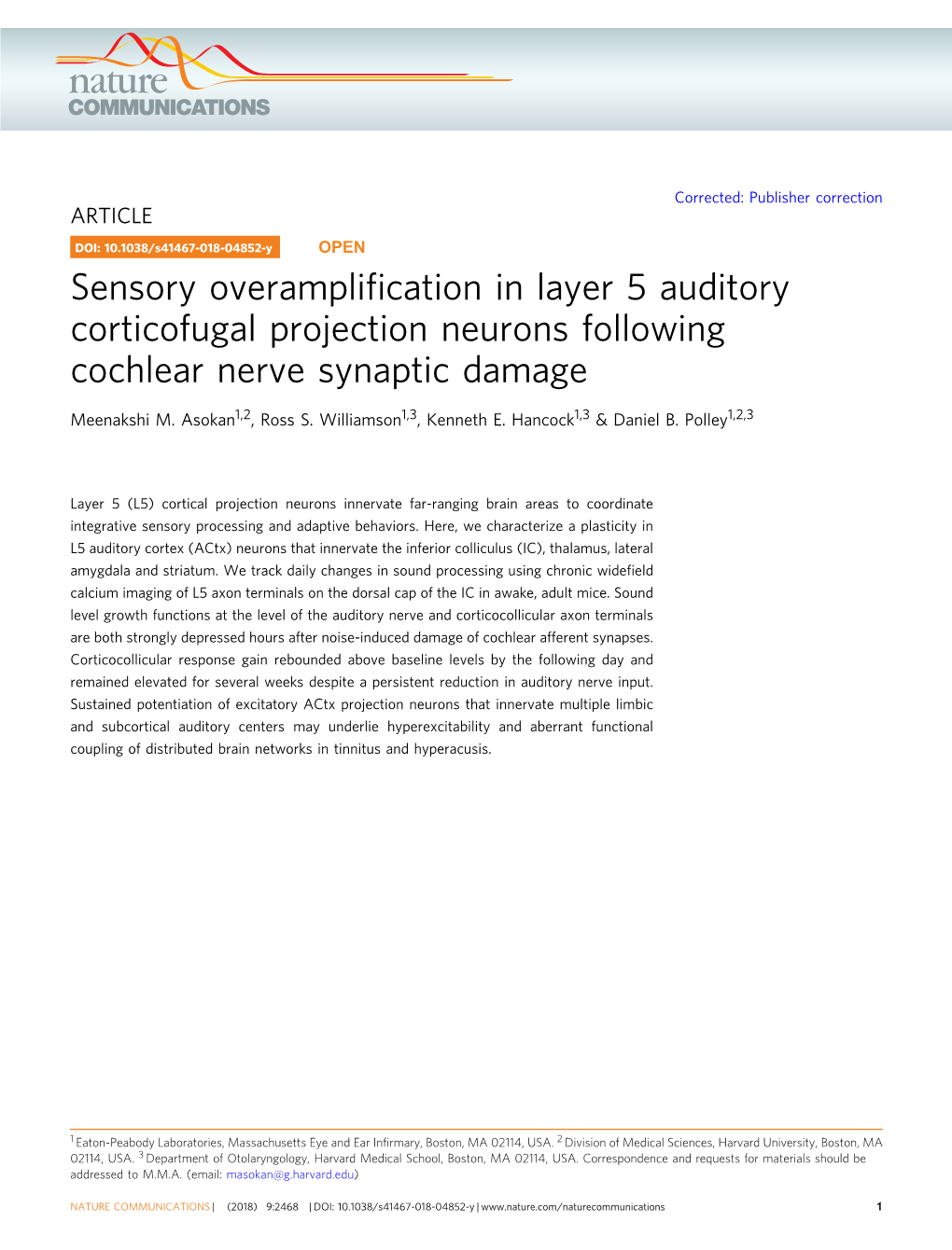 Sensory Overamplification in Layer 5 Auditory Corticofugal Projection Neurons Following Cochlear Nerve Synaptic Damage