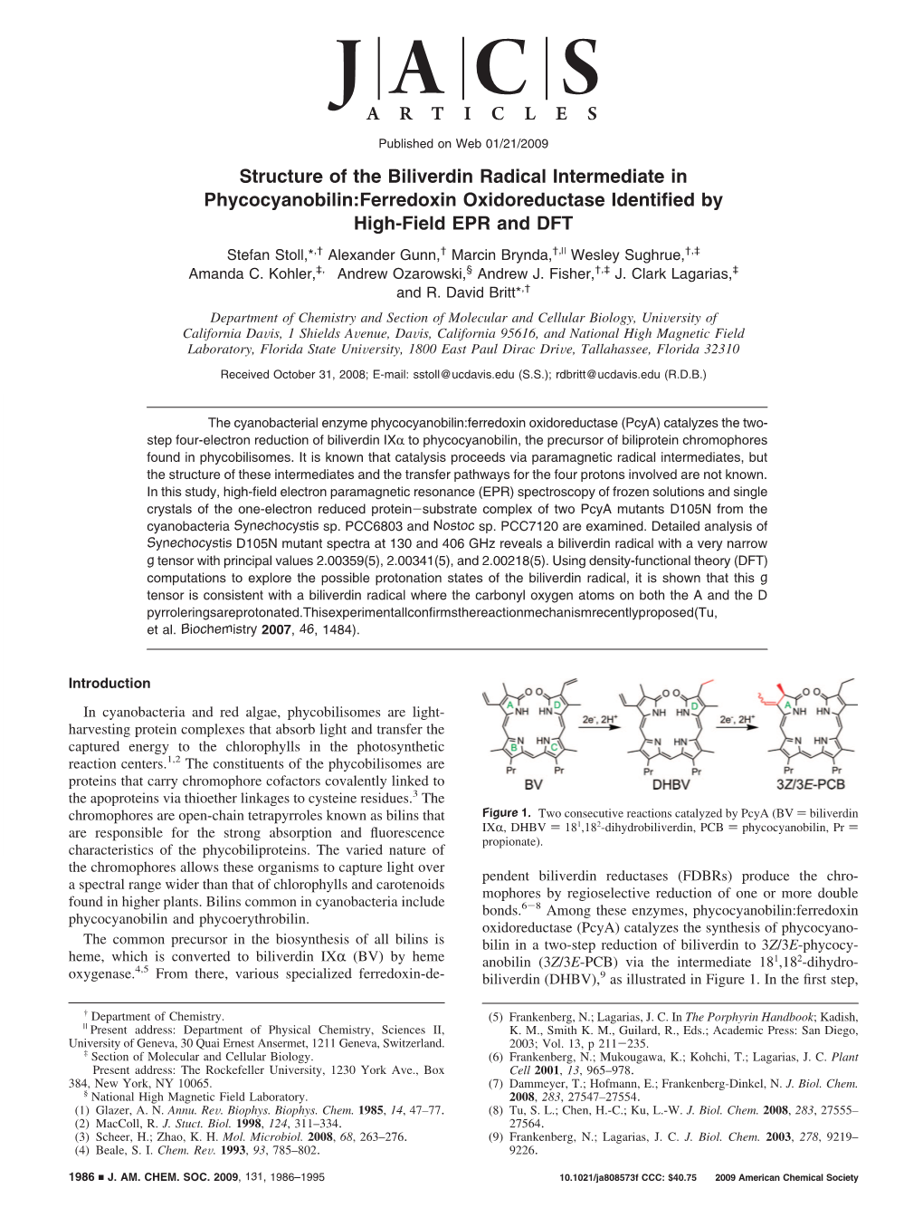 Structure of the Biliverdin Radical Intermediate in Phycocyanobilin