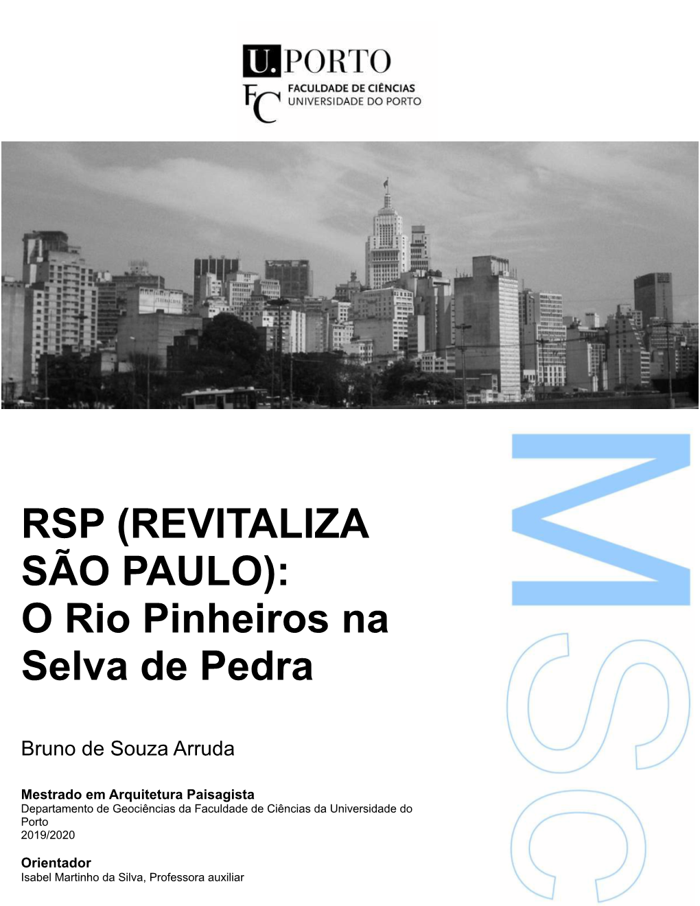 O Rio Pinheiros Na Selva De Pedra