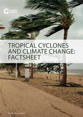 Cyclone Factsheet UPDATE