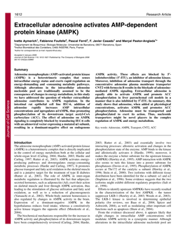 Extracellular Adenosine Activates AMP-Dependent Protein Kinase (AMPK)