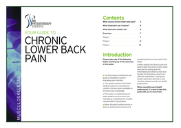Chronic Lower Back Pain?
