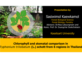 Sasiwimol Kaewkamol Forest Biological Science Forest Biology, Forestry Advisors: Dr.Nisa Leksungnoen and Assoc