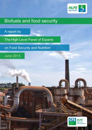Biofuels and Food Security. HLPE Report 5