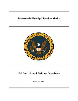 Report on the Municipal Securities Market