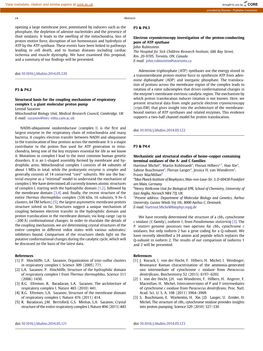 Structural Basis for the Coupling Mechanism of Respiratory Complex I, a Giant Molecular Proton Pump