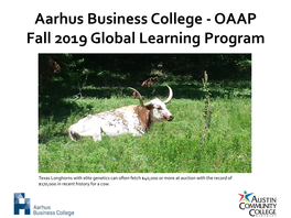 Aarhus Business College - OAAP Fall 2019 Global Learning Program