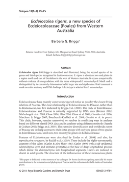 Ecdeiocolea Rigens, a New Species of Ecdeiocoleaceae (Poales) from Western Australia