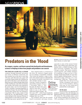 Predators in the 'Hood