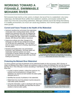 Working Toward a Fishable, Swimmable Mohawk River