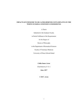 A Thesis Submitted to the G