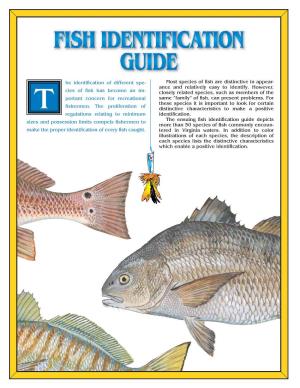 Fish Identification Guide Depicts More Than 50 Species of Fish Commonly Encoun- Make the Proper Identification of Every Fish Caught