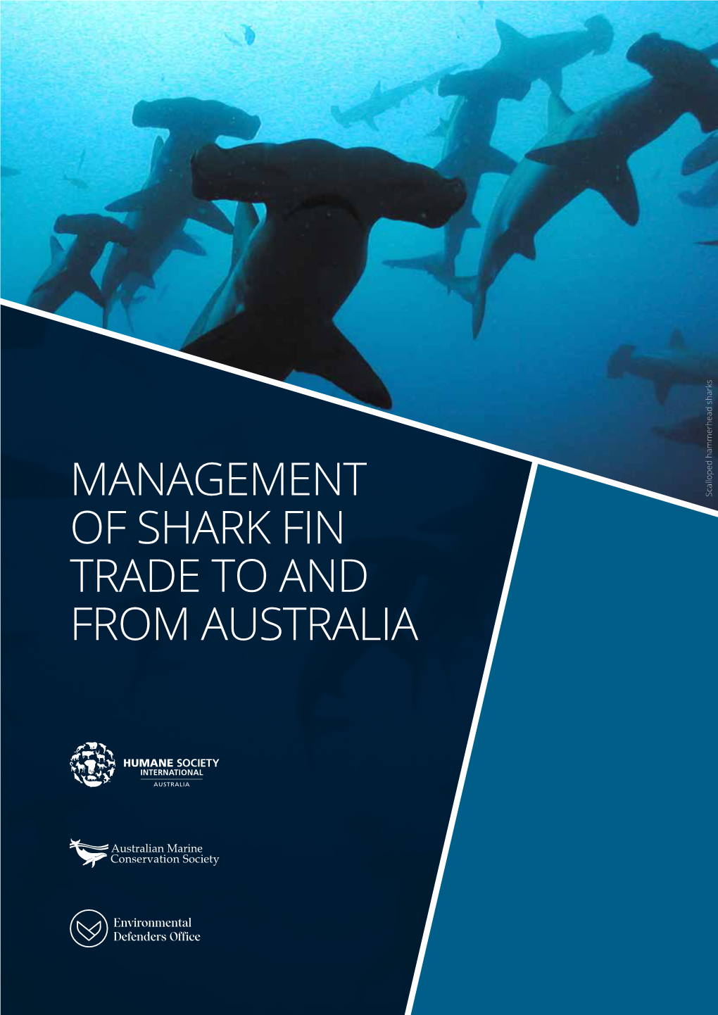 Management of Shark Fin Trade to and from Australia