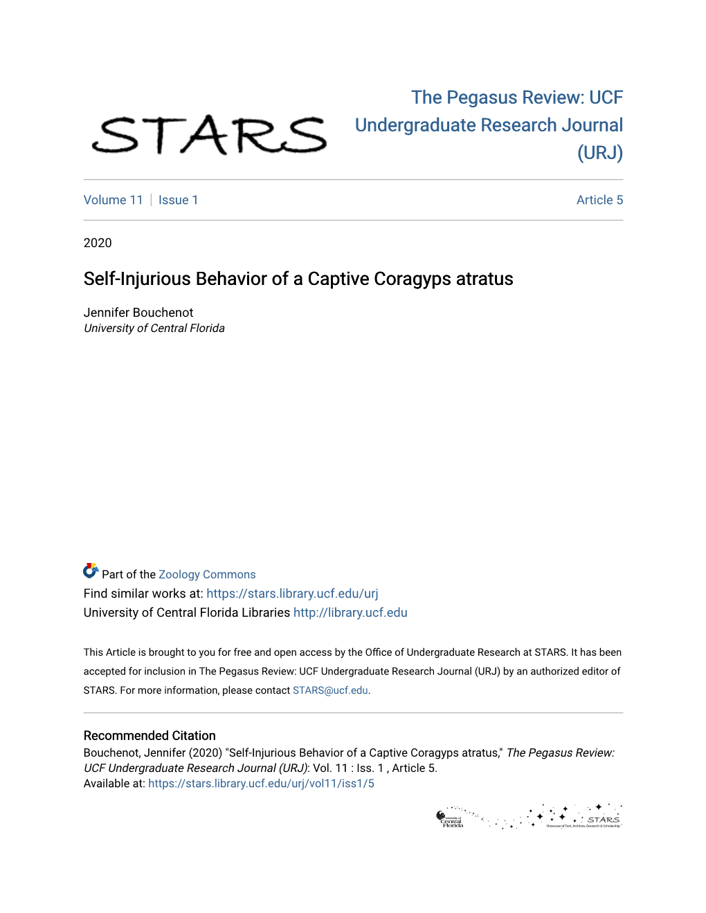 Self-Injurious Behavior of a Captive Coragyps Atratus