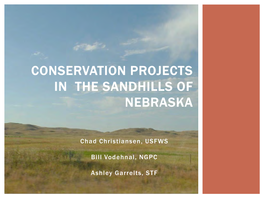 Conservation Projects in the Sandhills of Nebraska