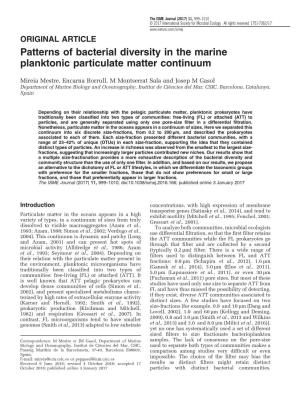 Patterns of Bacterial Diversity in the Marine Planktonic Particulate Matter Continuum