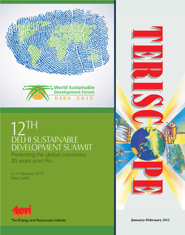 Delhi Sustainable Development Summit Protecting the Global Commons: 20 Years Post Rio