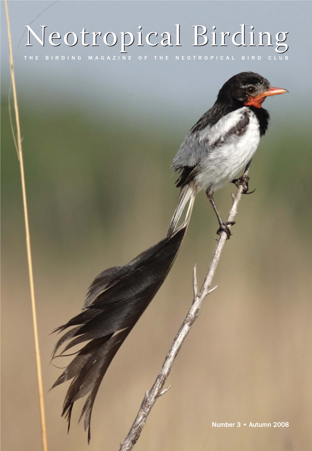 Important Bird Areas of the Neotropics: Argentina Adrián S