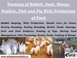 Farming of Rabbit, Goat, Sheep, Poultry, Fish and Pig With