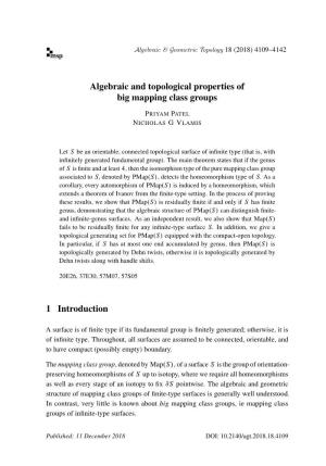 Algebraic and Topological Properties of Big Mapping Class Groups