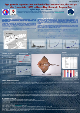 Age, Growth Reproduction and Feed of Bottlenose Skate, Rostroraja Alba