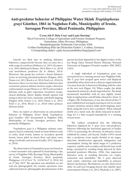 Anti-Predator Behavior of Philippine Water Skink Tropidophorus Grayi