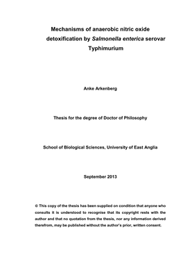 Mechanisms of Anaerobic Nitric Oxide Detoxification by Salmonella Enterica Serovar Typhimurium