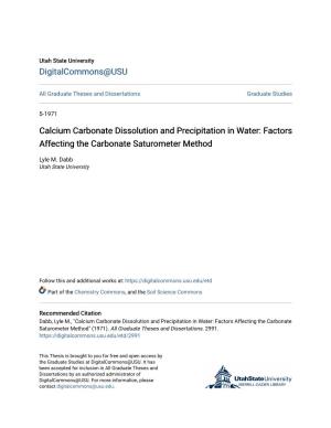 Calcium Carbonate Dissolution and Precipitation in Water: Factors Affecting the Carbonate Saturometer Method