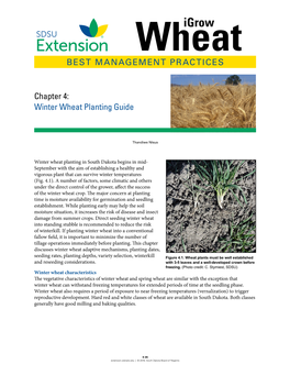 Chapter 4: Winter Wheat Planting Guide
