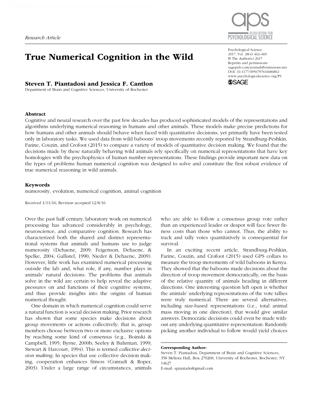 True Numerical Cognition in the Wild Research-Article6868622017