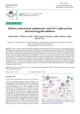 Anti-Cov-2 Spike Protein Directed Druggable Inhibitors