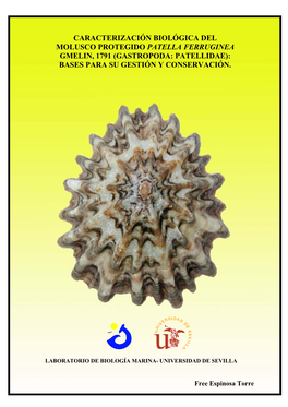 Caracterización Biológica Del Molusco Protegido Patella Ferruginea Gmelin, 1791 (Gastropoda: Patellidae): Bases Para Su Gestión Y Conservación