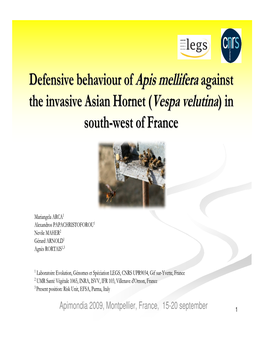 Defensive Behaviour of Apis Mellifera Against the Invasive Asian Hornet