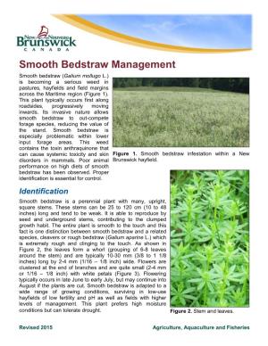 Smooth Bedstraw Management
