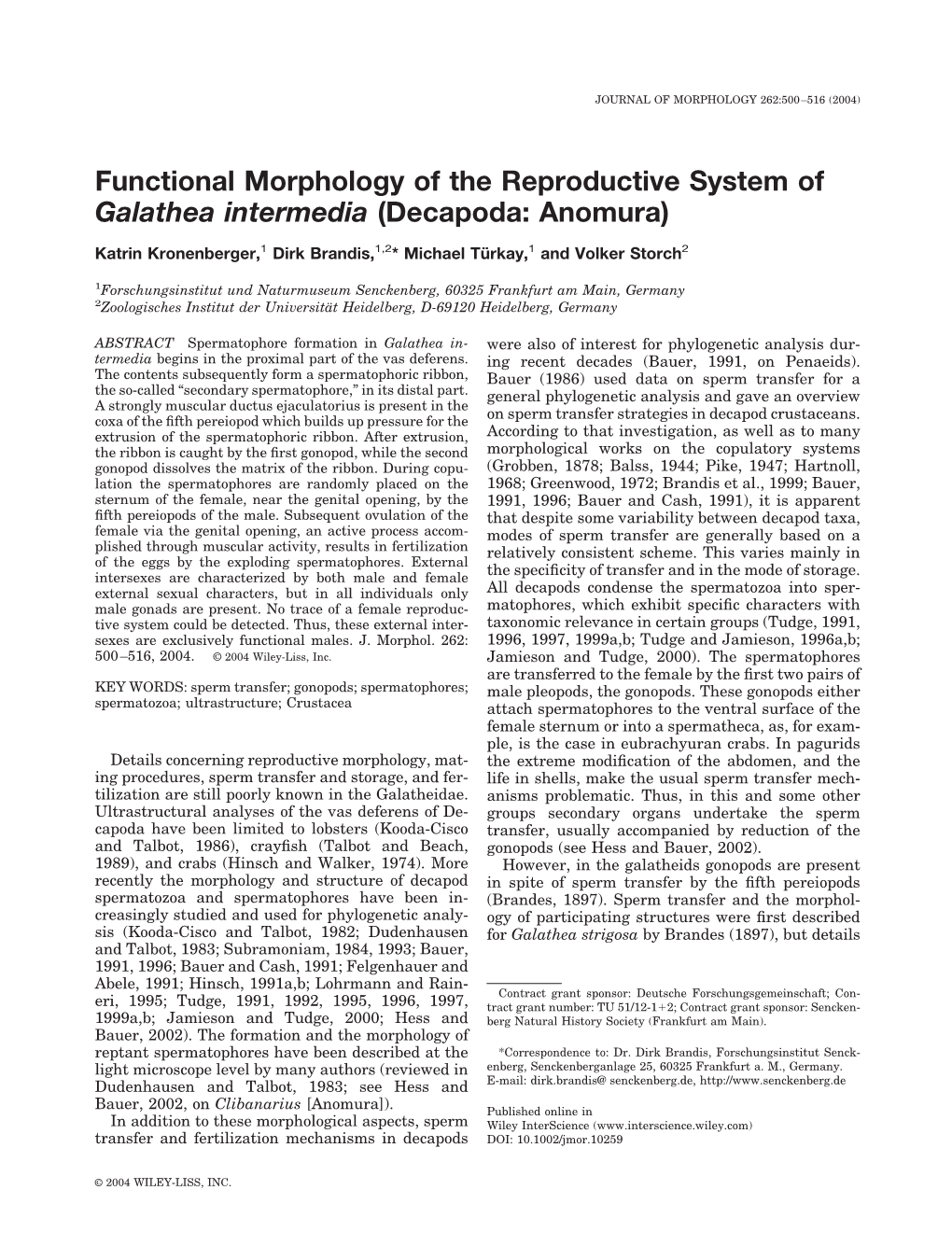 Functional Morphology of the Reproductive System of Galathea Intermedia (Decapoda: Anomura)