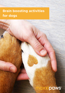 Brain Boosting Activities for Dogs Use It Or Lose It