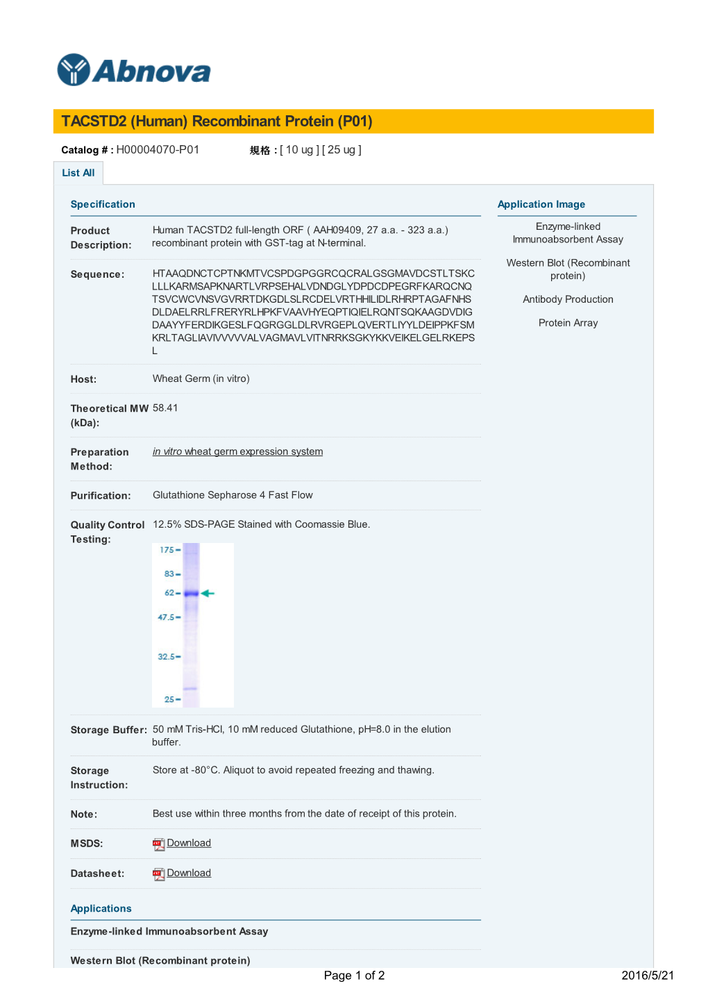 TACSTD2 (Human) Recombinant Protein (P01)