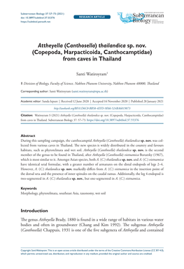 Attheyella (Canthosella) Thailandica Sp. Nov. (Copepoda, Harpacticoida