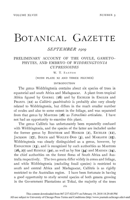 Preliminary Account of the Ovule, Gametophytes, And