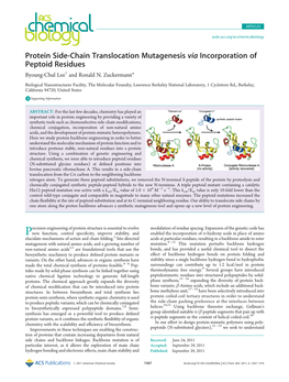 Protein Side-Chain Translocation Mutagenesis Via Incorporation of Peptoid Residues † Byoung-Chul Lee and Ronald N