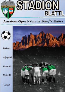 2 Stadionblattl Din A4 Ausgabe 2. 2015-2016