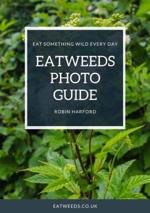 Edible Weeds Photo Identification Guide