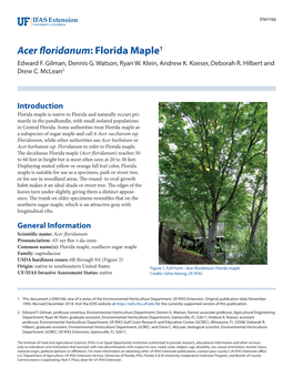 Acer Floridanum: Florida Maple1 Edward F