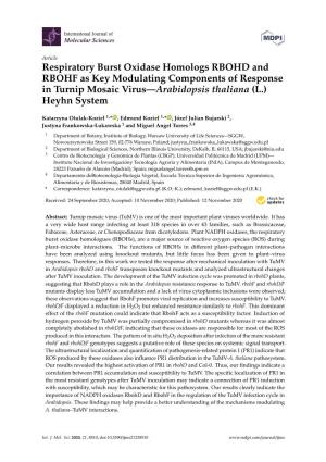 Respiratory Burst Oxidase Homologs RBOHD and RBOHF As Key Modulating Components of Response in Turnip Mosaic Virus—Arabidopsis Thaliana (L.) Heyhn System