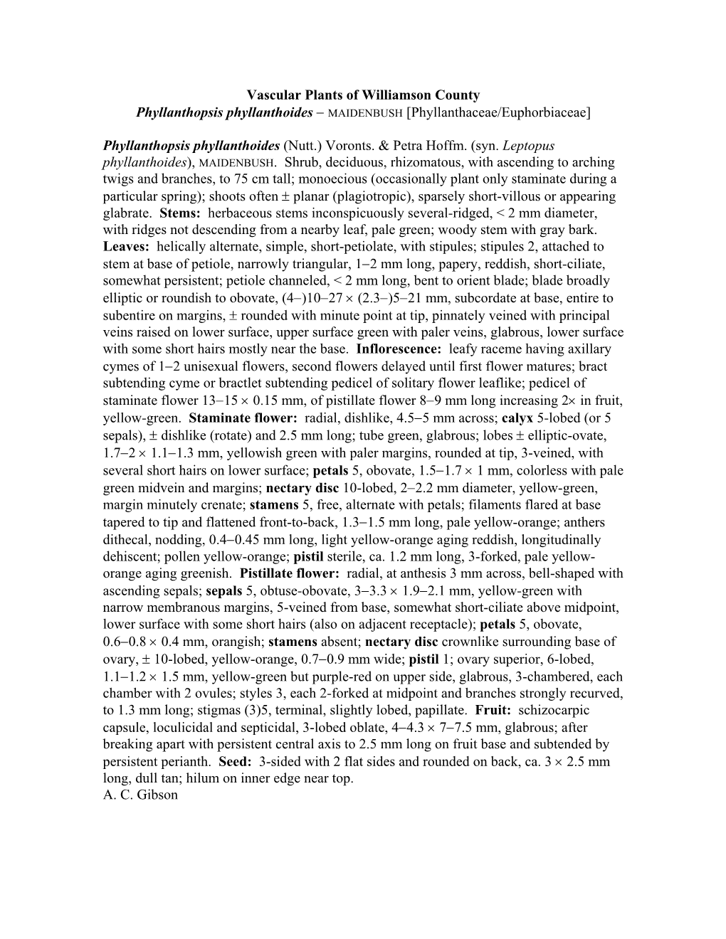 Vascular Plants of Williamson County Phyllanthopsis Phyllanthoides − MAIDENBUSH [Phyllanthaceae/Euphorbiaceae]