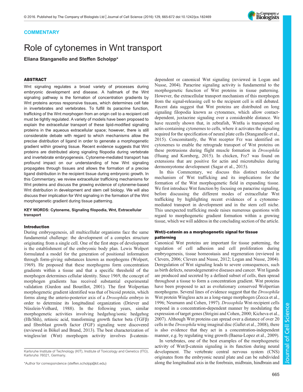 Role of Cytonemes in Wnt Transport Eliana Stanganello and Steffen Scholpp*