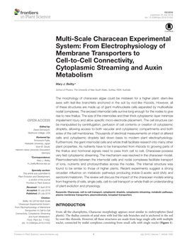 Multi-Scale Characean Experimental System: from Electrophysiology of Membrane Transporters to Cell-To-Cell Connectivity, Cytoplasmic Streaming and Auxin Metabolism